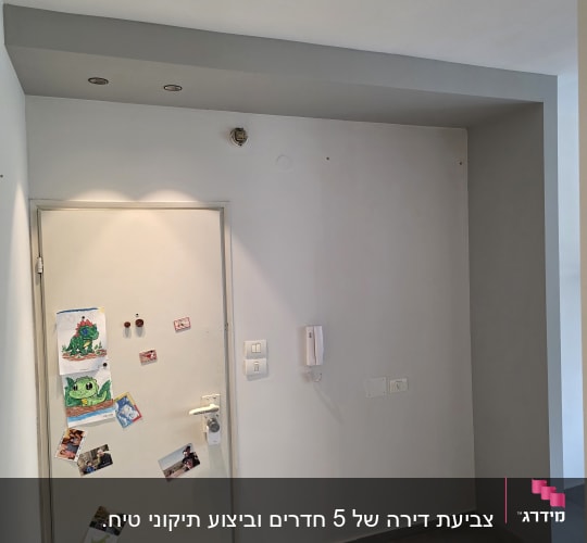 קיר ודלת צבועים בגוונים אפורים